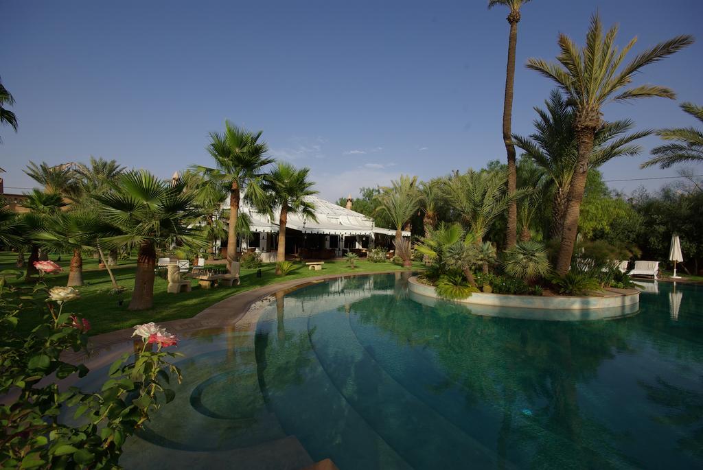 K Marrakesh