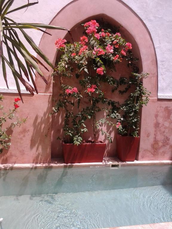 Dar Ganou Maison d'hôtes
