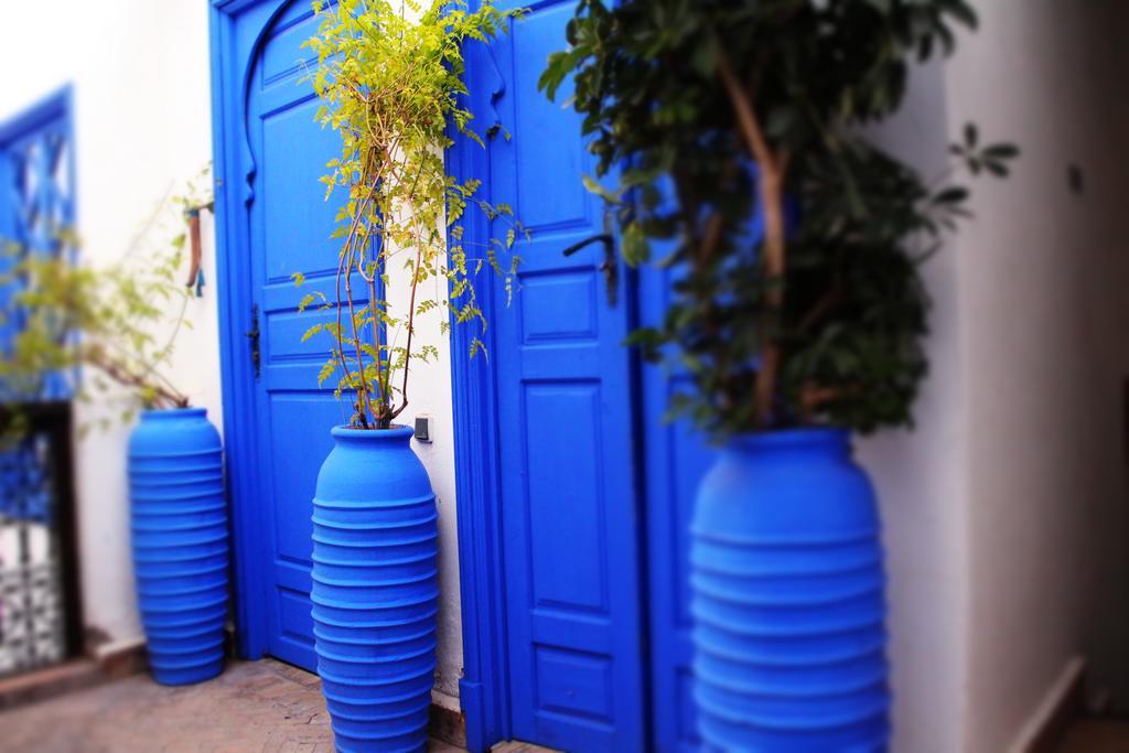 Riad Ayadina &