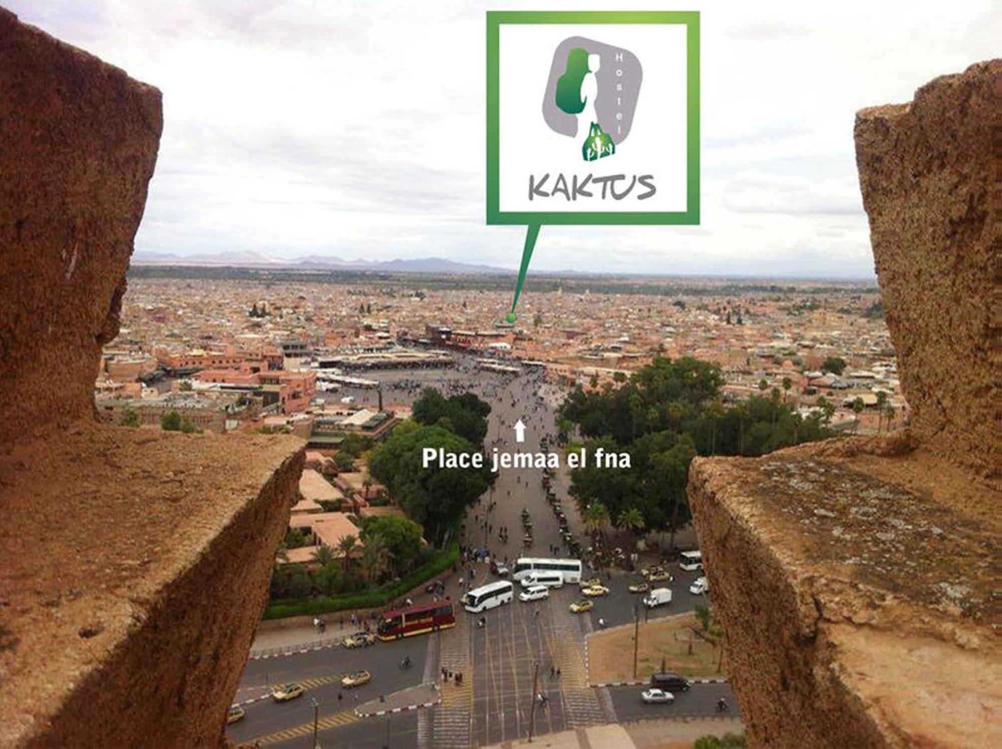 Kaktus
