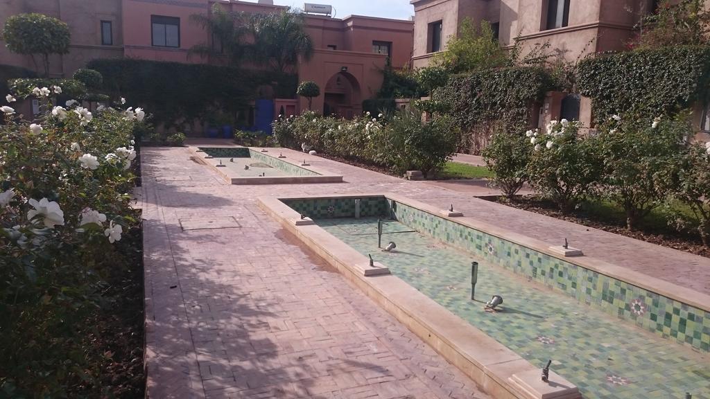 Olivier Marrakesh