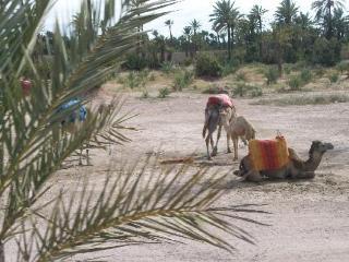 Appartement Ksar Catalina Marrakech Marrakesh