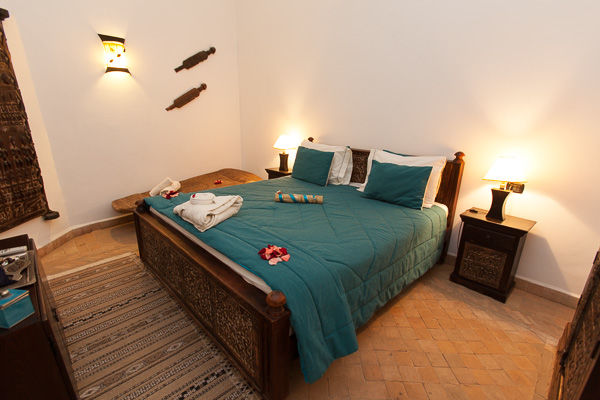 Les Ammonites And Marrakesh