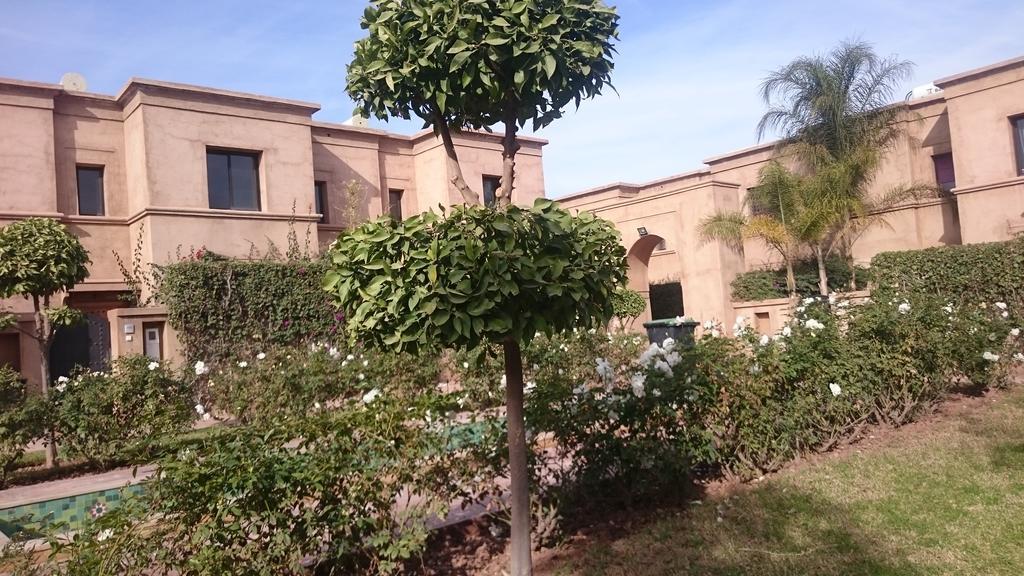 Villa Olivier Marrakesh