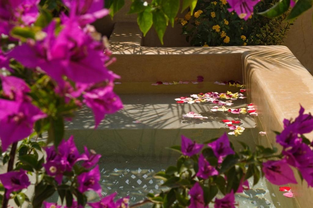 Cinnamon By Marrakech Riad Marrakesh