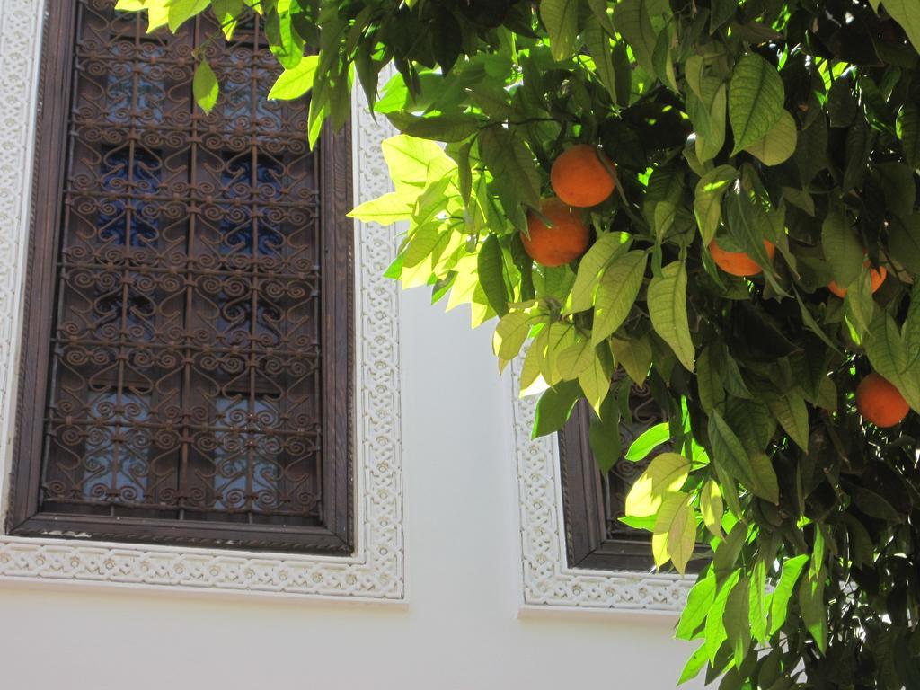 Dar Nouba Riad Marrakesh