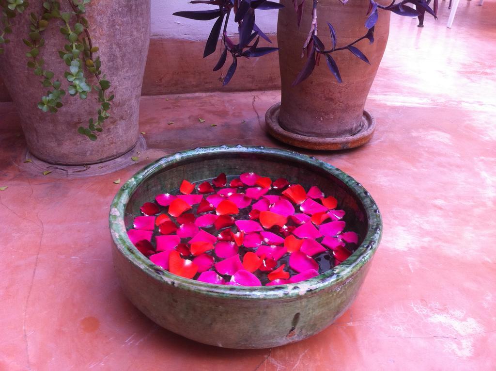 Dar Nouba 4* Marrakesh