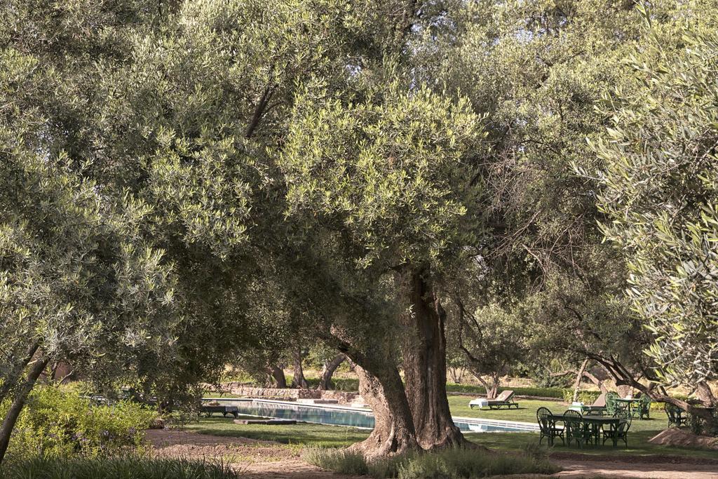 Dar Sanaa Maison d'hôtes