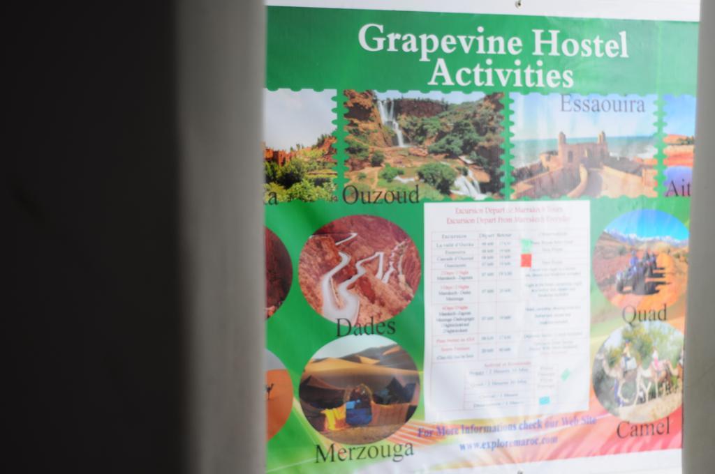 Backpackers Grapevine