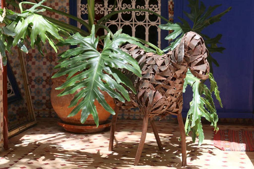 Riad Dar Colline