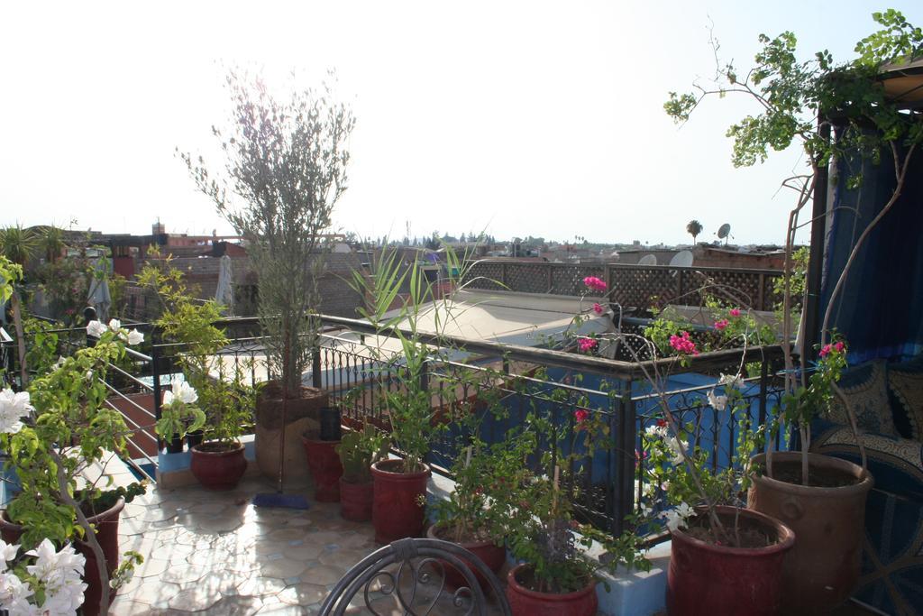 La Perle D'azur Riad 2*