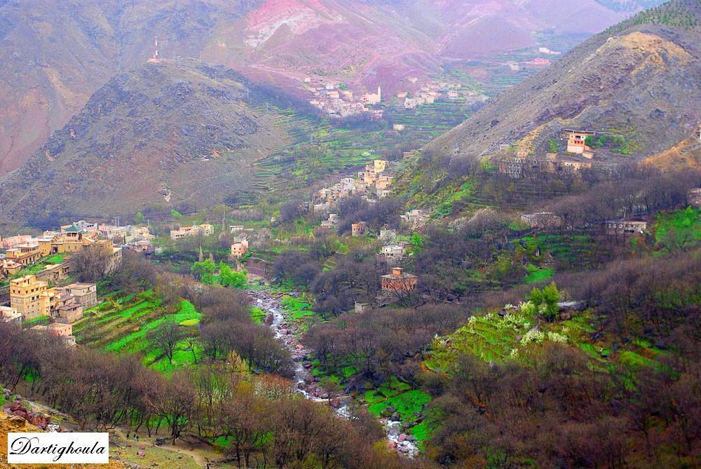 Bed & Breakfast Dar Tighoula 3*