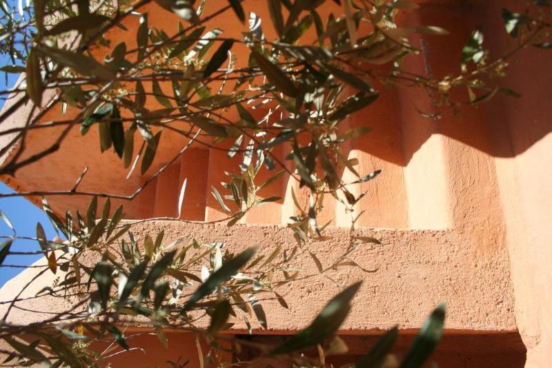 Dar Zitouna En Exclusivité Casa vacanze