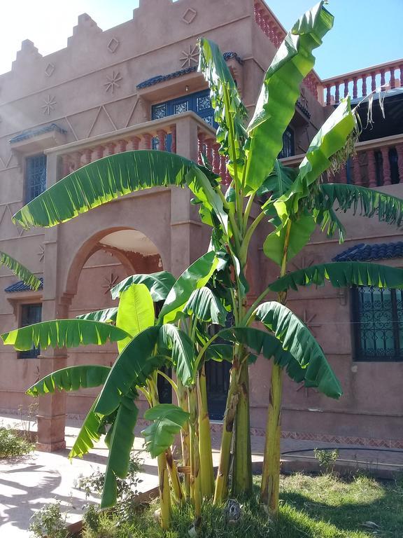 Darga Rouge Farm stay *