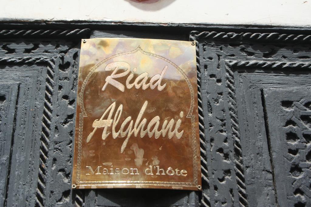 Alghani Riad
