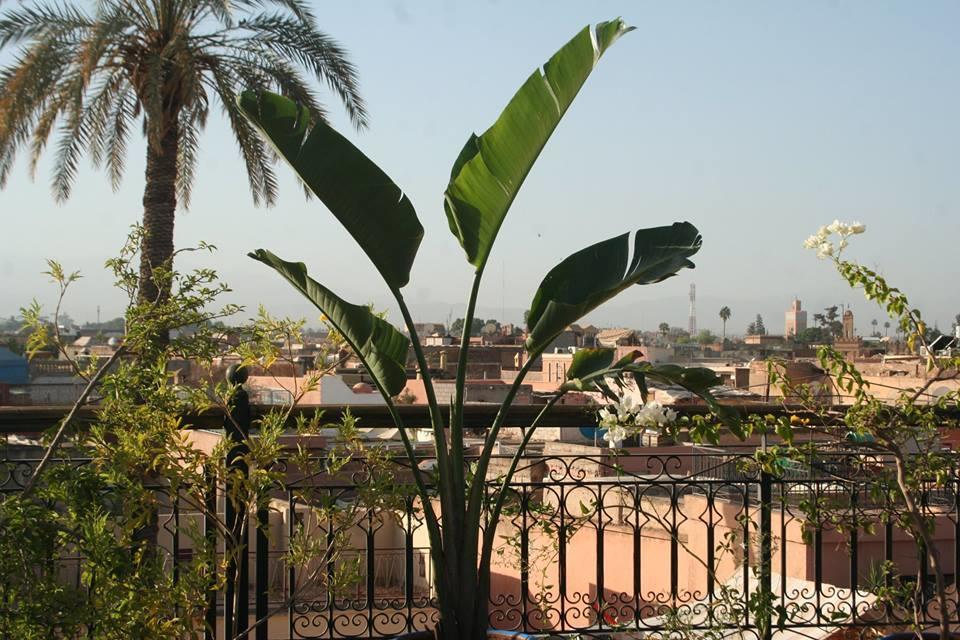 La Perle D'azur Riad Marrakesh