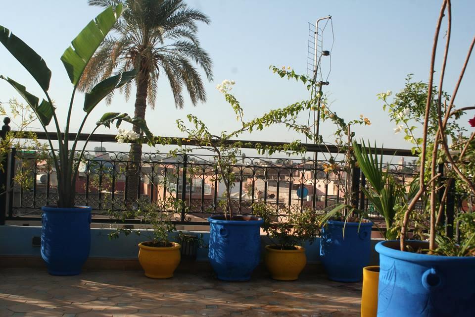 La Perle D'azur Marrakesh