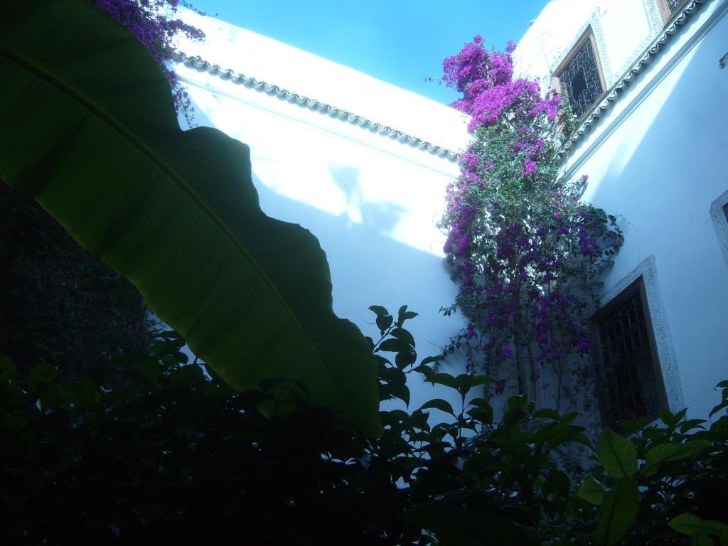 Jenai L'authentique Riad Marrakesh