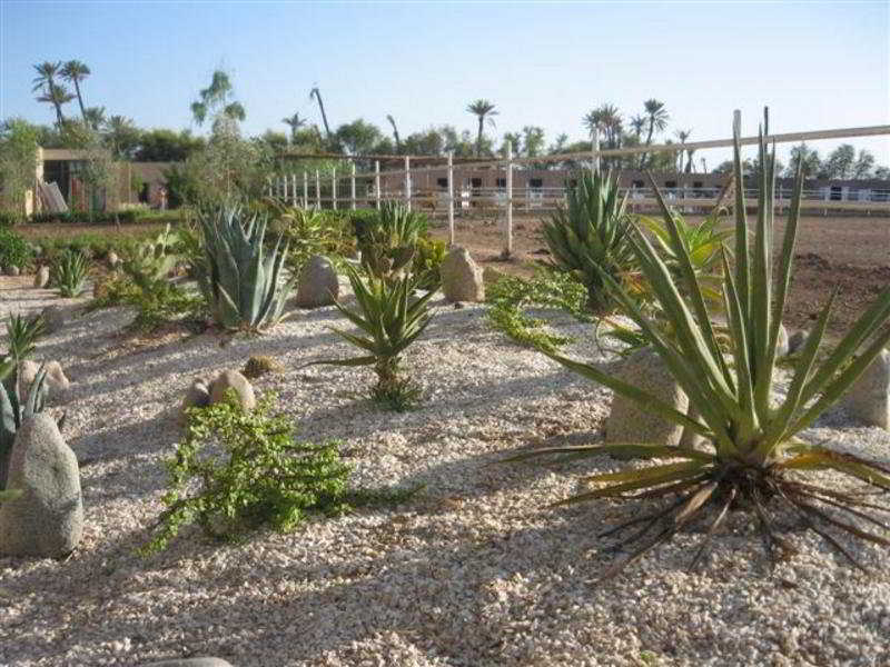 Dar Guerris 4* Marrakesh
