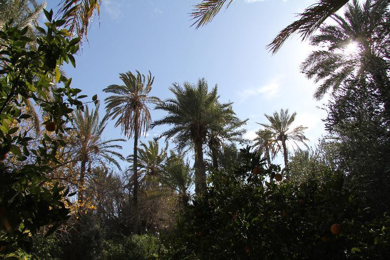 Jnane Tamsna Maison d'hôtes Marrakesh