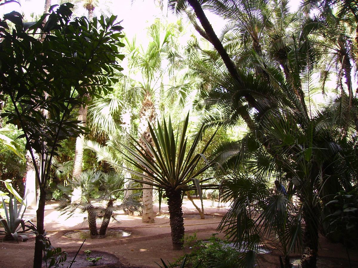 Avec Vue Jardin/majorelle Appartement Marrakesh