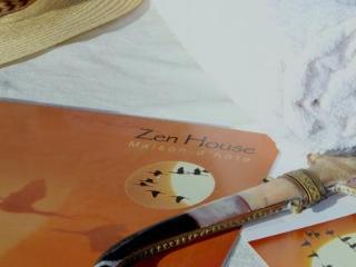 Zen House 3*