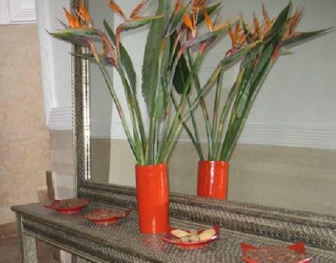 Le Clos Des Arts Riad 4*
