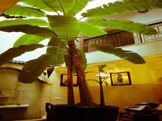 Riad M'boja Chez Ali Baba Riad 3*