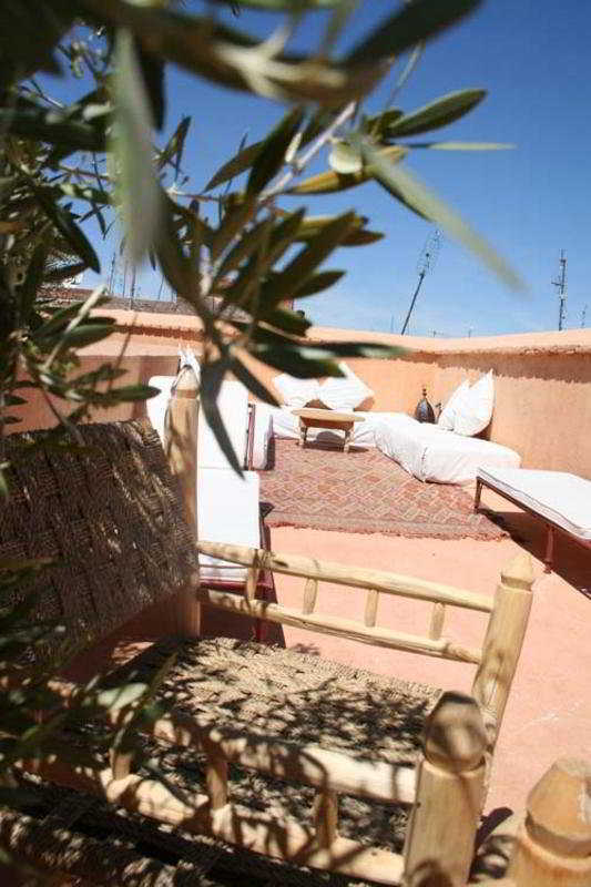 Dar Zitouna En Exclusivité *