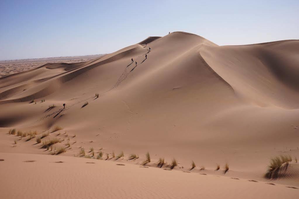 Nakhla Marrakesh