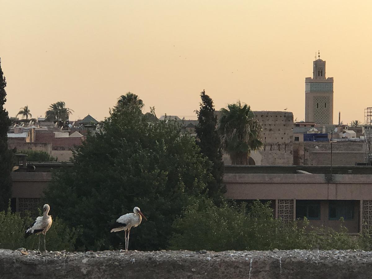 Bouhma Marrakesh