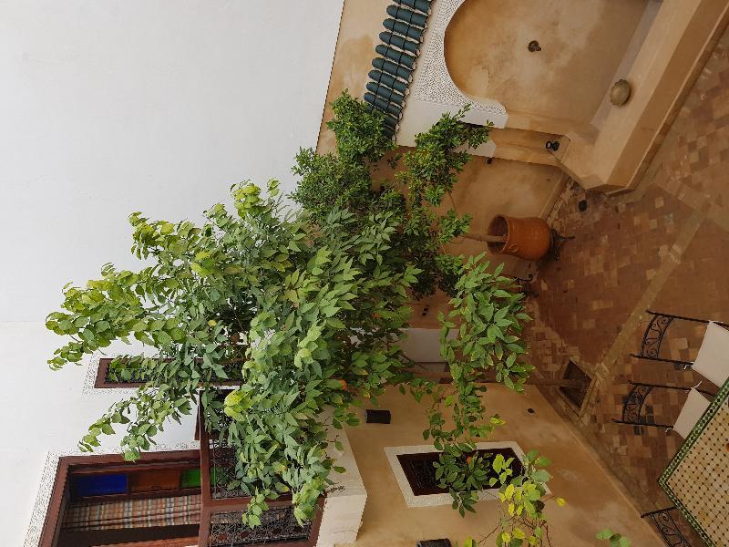Dar Rania Riad 4*