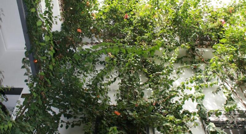 Riad Bougainvillea 3*