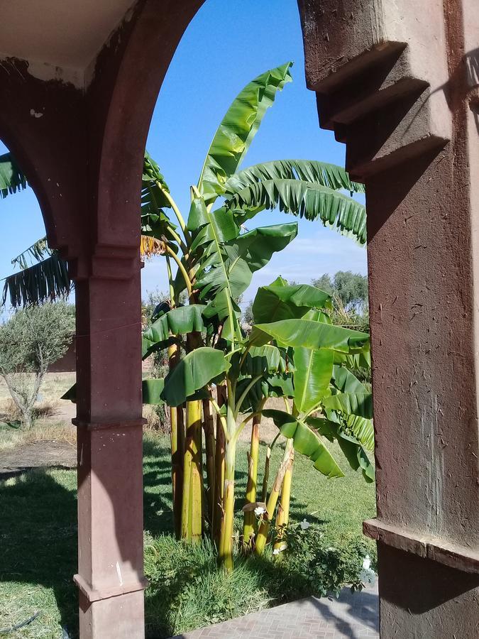 Darga Rouge Farm stay