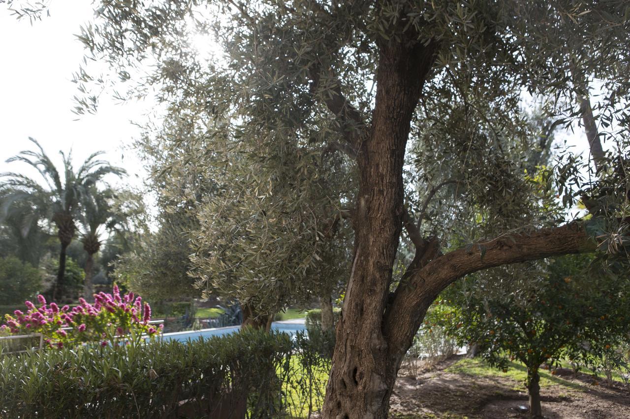 Bed and breakfast Beyt Rim - Et 4*