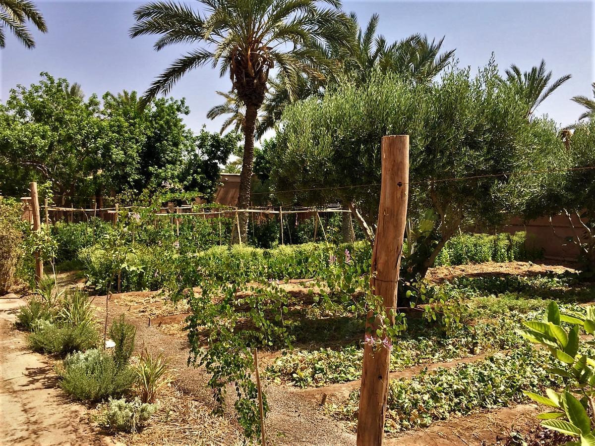 Bed & Breakfast 55 Marrakech Marrakesh