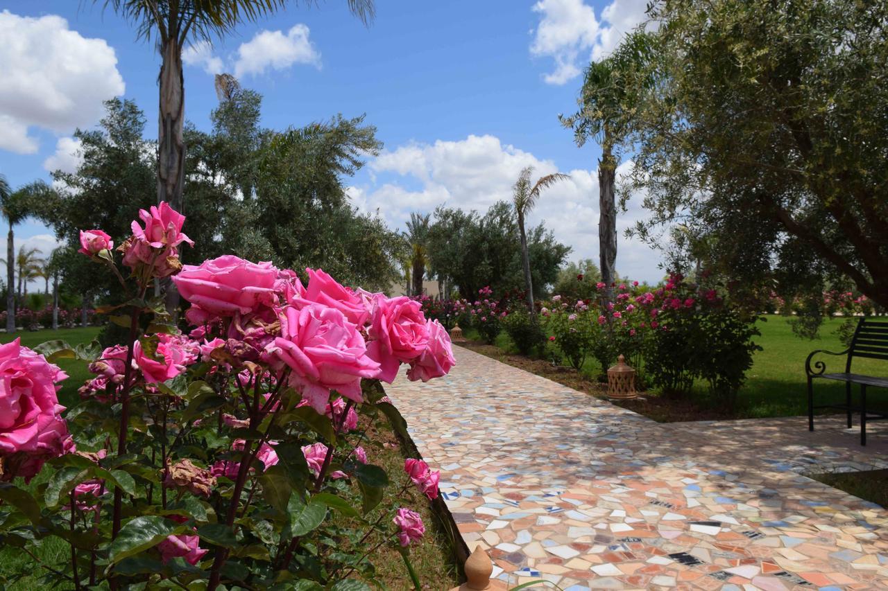 Paix & Palmiers Marrakesh