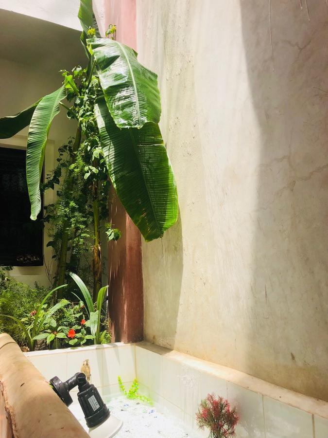 Riad Paradise