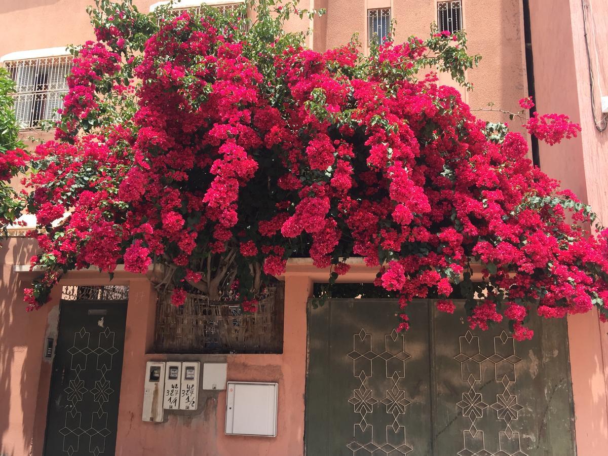 Nejma Lounge Riad