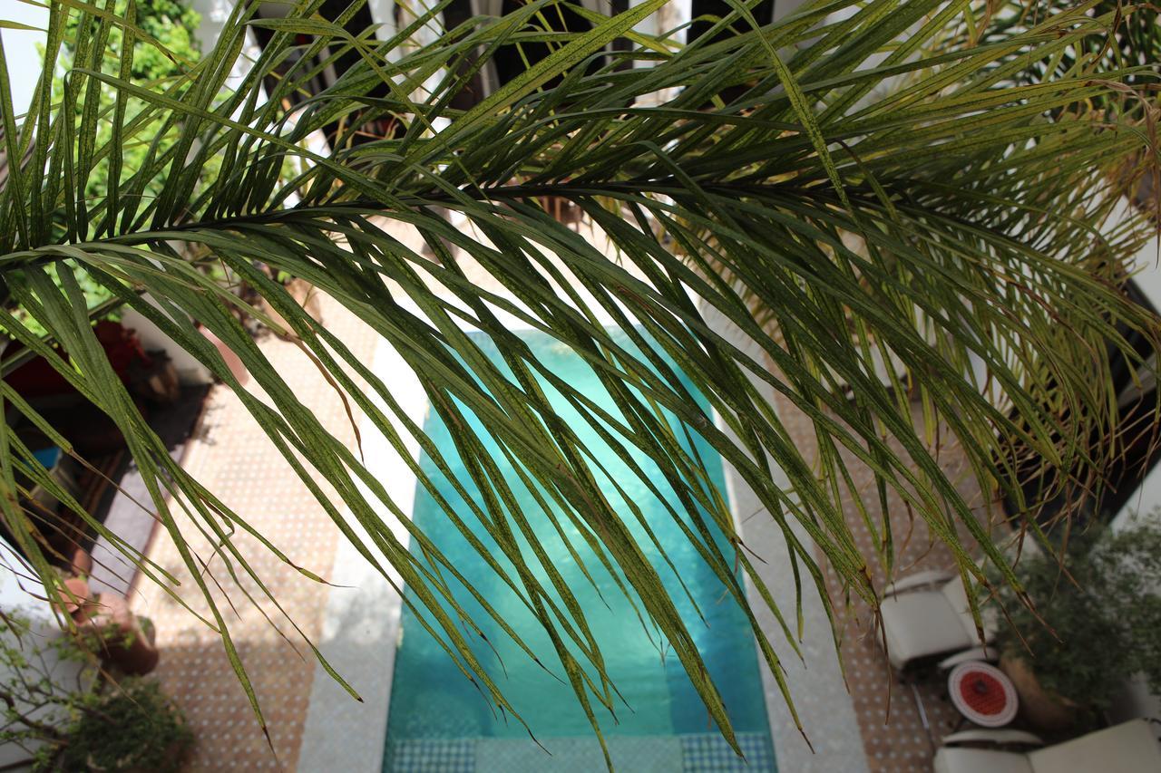 Assouel Marrakesh