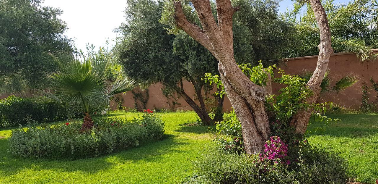 Koutoubia, Jardin Luxuriant, Piscine Et Villa *