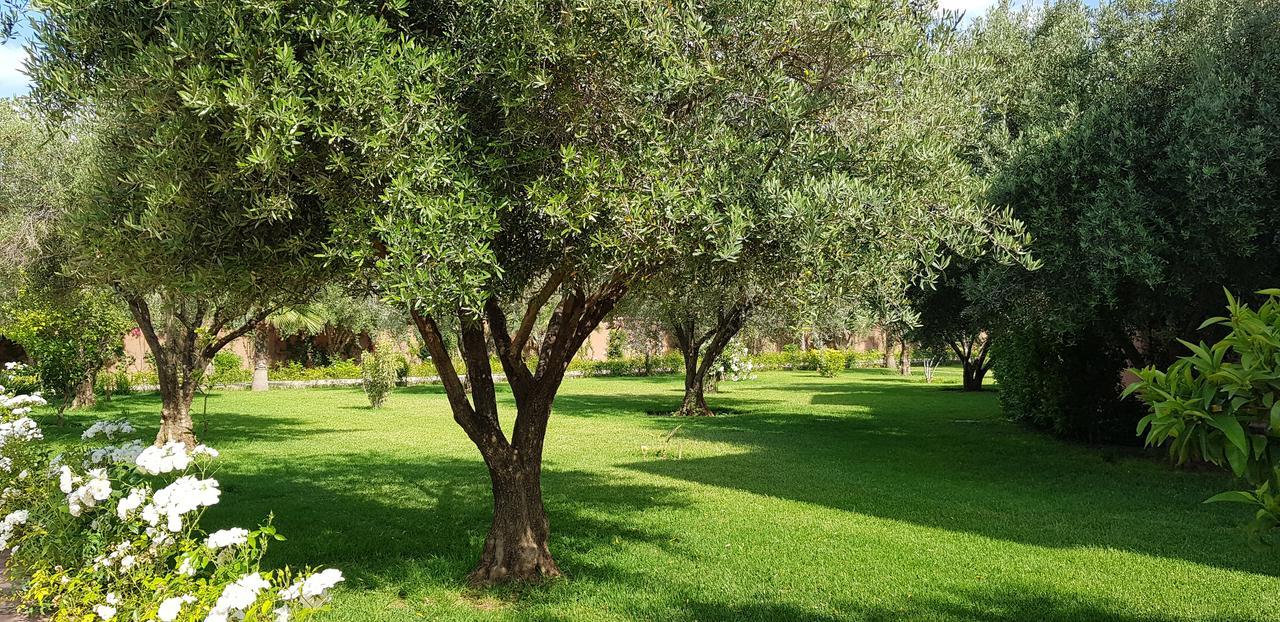 Villa Koutoubia, Jardin Luxuriant, Piscine Et