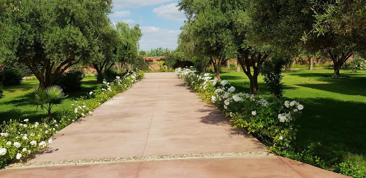 Villa Koutoubia, Jardin Luxuriant, Piscine Et *