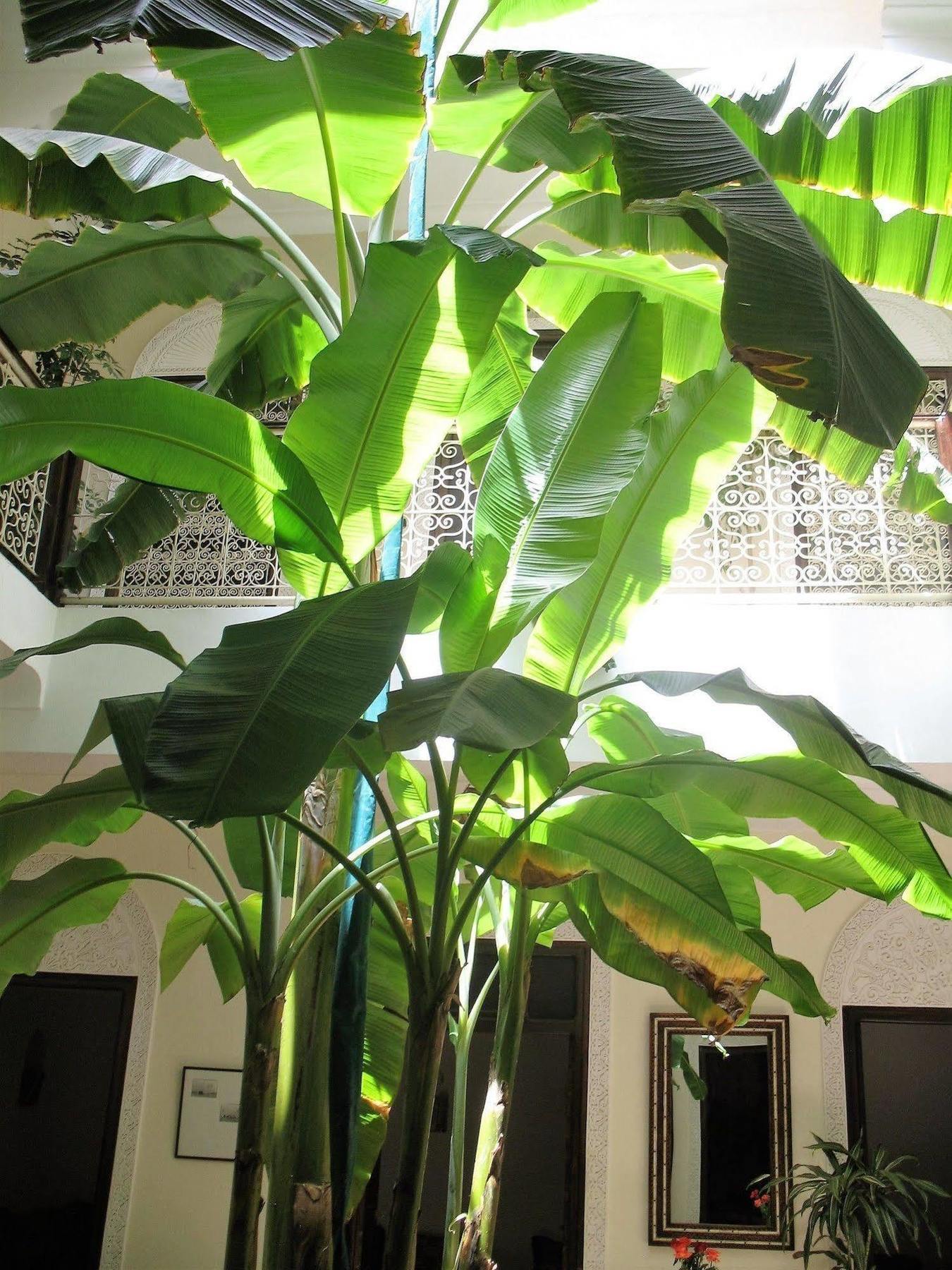 Riad Marhbabikoum Marrakesch