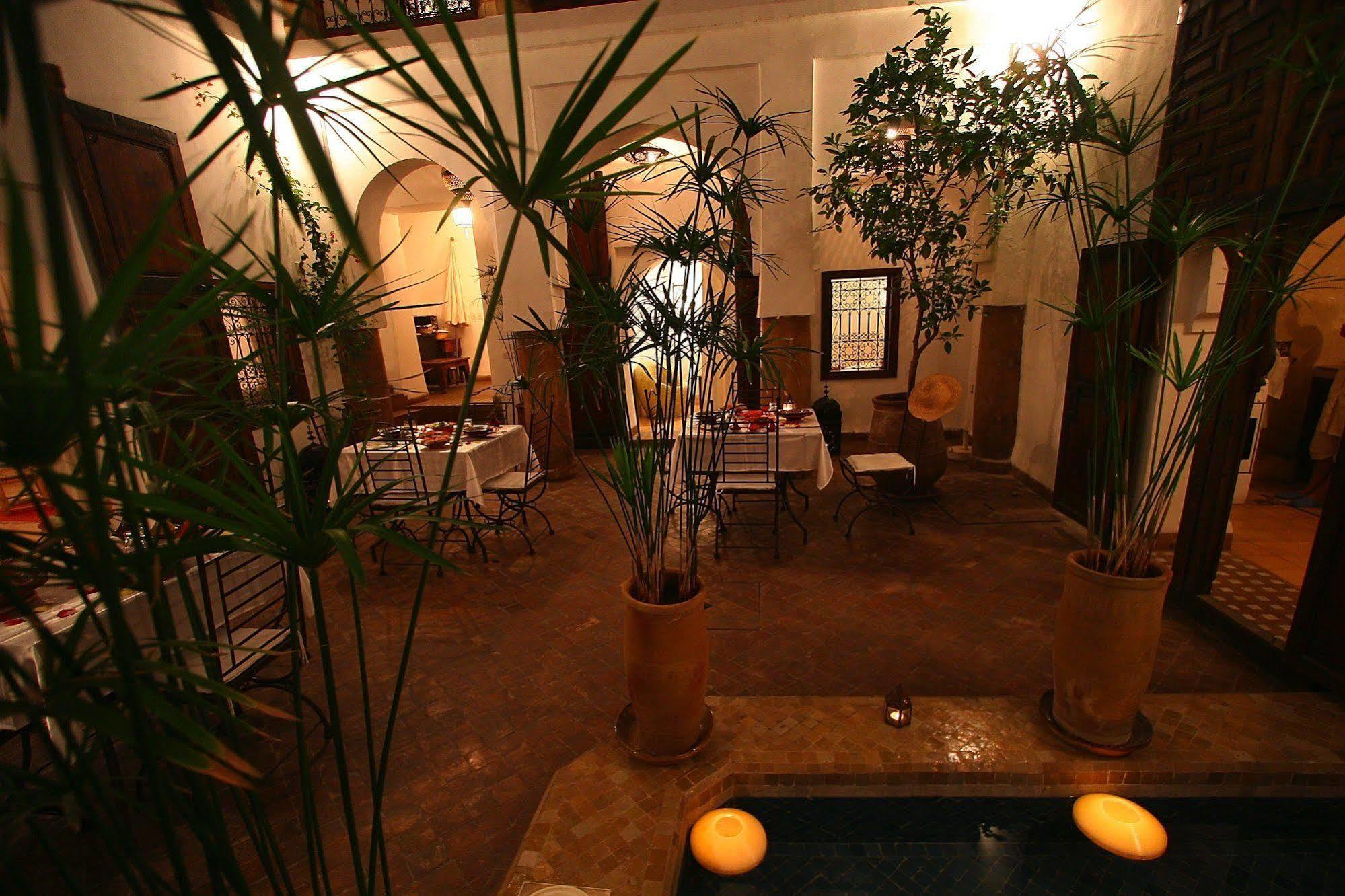 Elixir Riad
