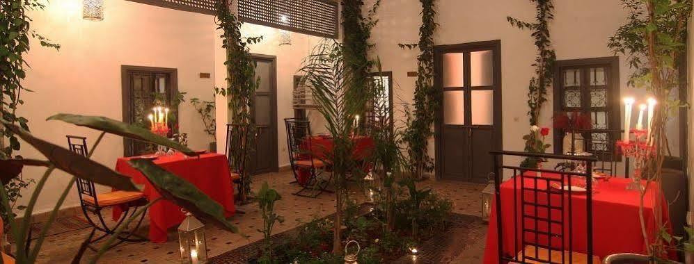 Bougainvillea Marrakesh