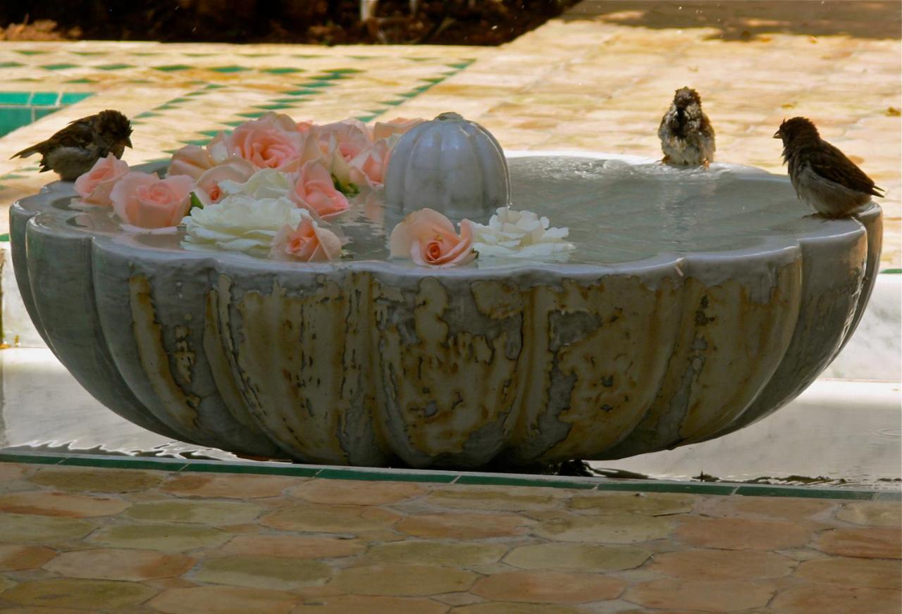 Riad El Mezouar 4*