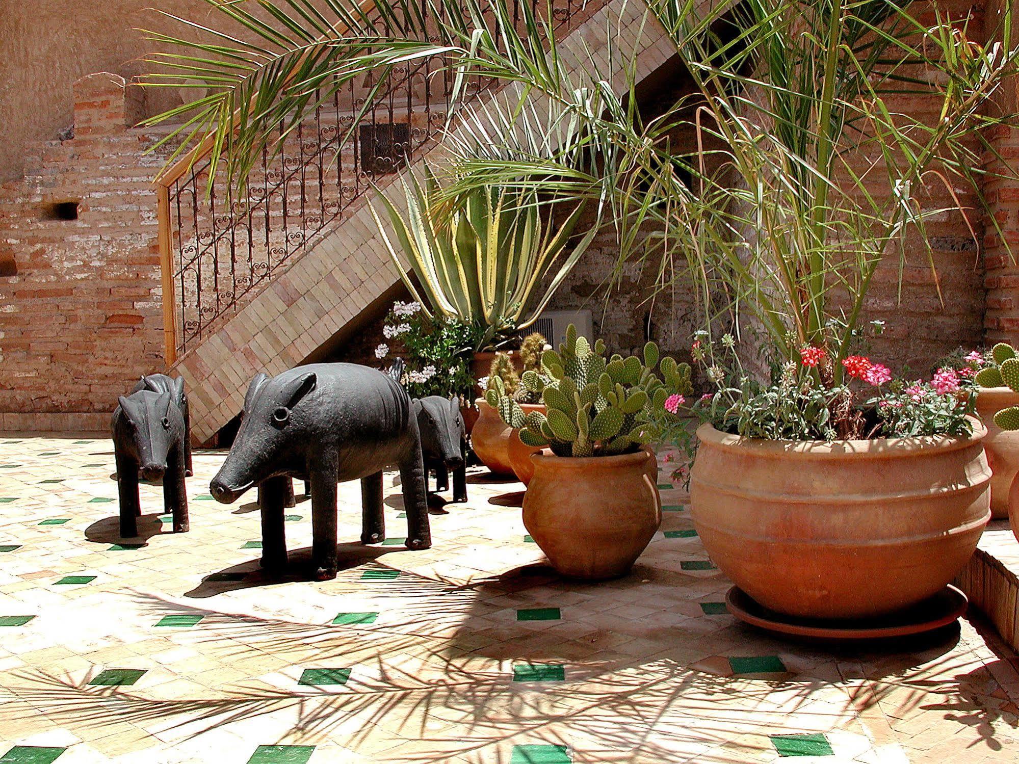 Aladdin Riad 4*