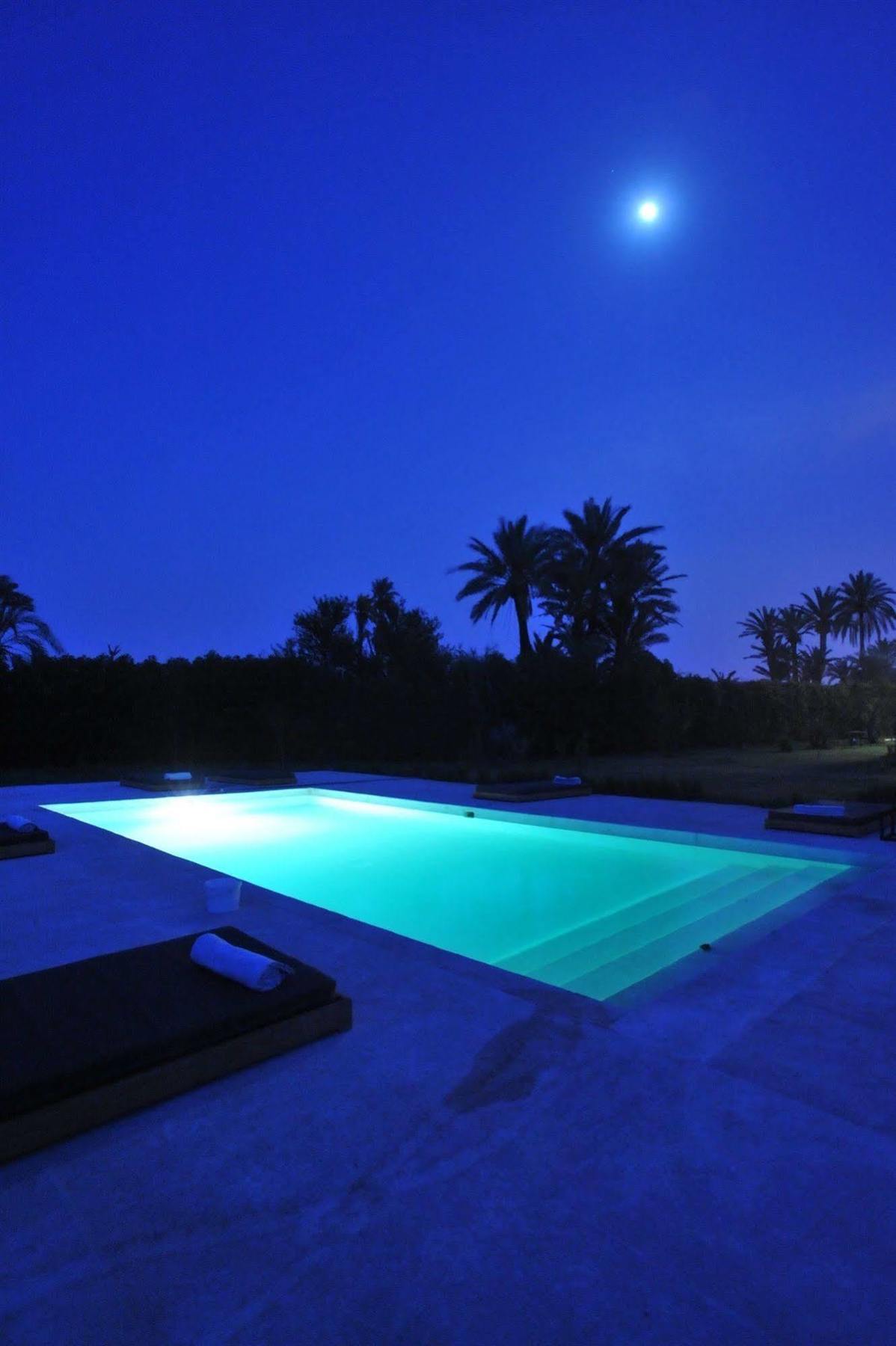 Warhol * Marrakesh