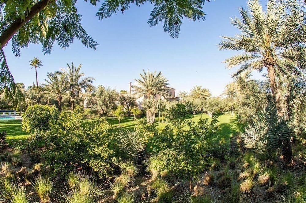 Beyt Rim - Et Bed and breakfast Marrakesh